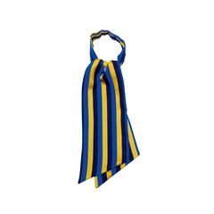 Foulard Ascot Professionale Unisex in Poliestere – Isacco