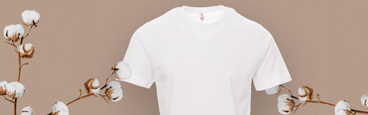 T-shirt e Polo da lavoro sostenibili: la scelta giusta per chi lavora e rispetta l’ambiente