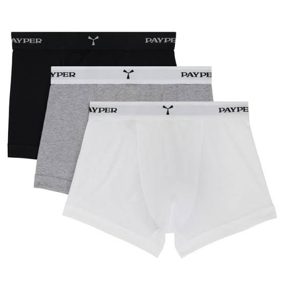 Boxer
